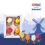 Cadeaupakket - Holland nr 13 - Pakket met boek "Kookboek van Amsterdam" en diverse Hollandse lekkernijen Cadeaupakket - Holland nr 13 - Pakket met boek "Kookboek van Amsterdam" en diverse Hollandse lekkernijen